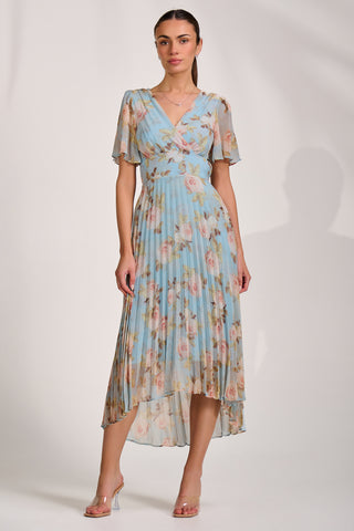 Chiffon Pleated Maxi Dress, Blue Floral