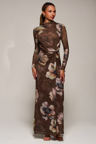 High Neck Long Sleeve Mesh Maxi Dress, Brown Floral