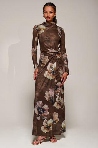 High Neck Long Sleeve Mesh Maxi Dress, Brown Floral