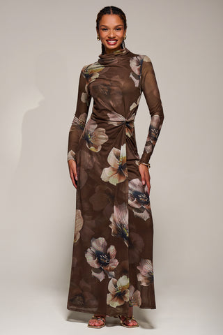 High Neck Long Sleeve Mesh Maxi Dress, Brown Floral
