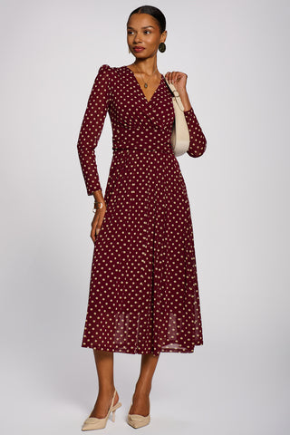 Long Sleeve Print Mesh Maxi Dress, Burgundy Spot