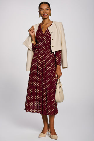 Long Sleeve Print Mesh Maxi Dress, Burgundy Spot