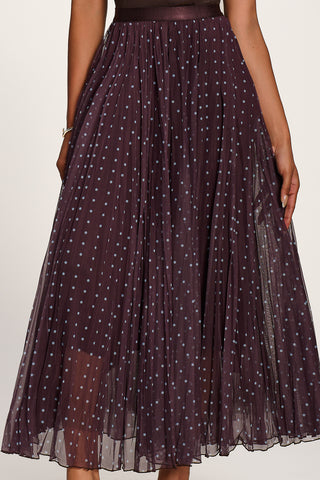 Spotty Crinkle Mesh Maxi Skirt, Brown Spot