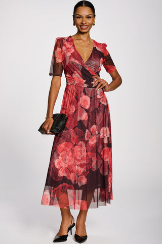 Double Layer Printed Mesh Maxi Dress, Red Floral