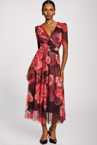 Double Layer Printed Mesh Maxi Dress, Red Floral