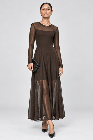 Long Sleeve Fit & Flare Mesh Maxi Dress, Brown