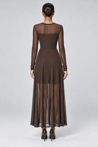 Long Sleeve Fit & Flare Mesh Maxi Dress, Brown