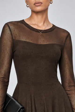 Long Sleeve Fit & Flare Mesh Maxi Dress, Brown