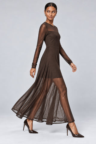 Long Sleeve Fit & Flare Mesh Maxi Dress, Brown