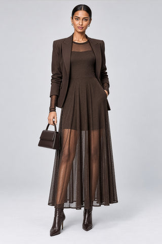 Long Sleeve Fit & Flare Mesh Maxi Dress, Brown