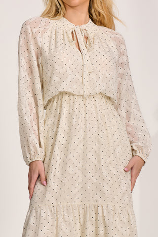 Textured Chiffon Long Sleeve Maxi Dress, Cream Spot