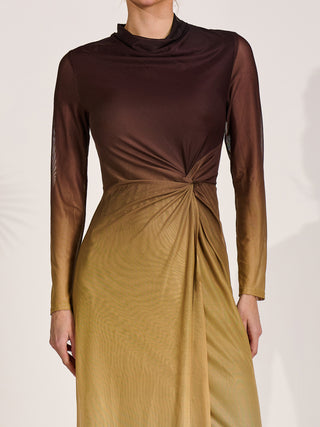 Petite Long Sleeve Mesh Maxi Dress, Brown Multi