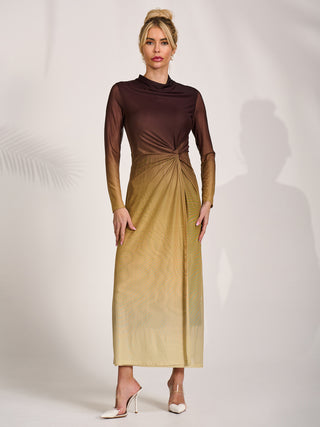 Petite Long Sleeve Mesh Maxi Dress, Brown Multi