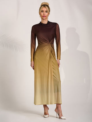 Petite Long Sleeve Mesh Maxi Dress, Brown Multi