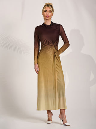 Petite Long Sleeve Mesh Maxi Dress, Brown Multi