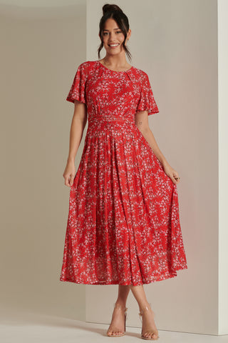 Rexina Maxi Mesh Dress, Red Floral