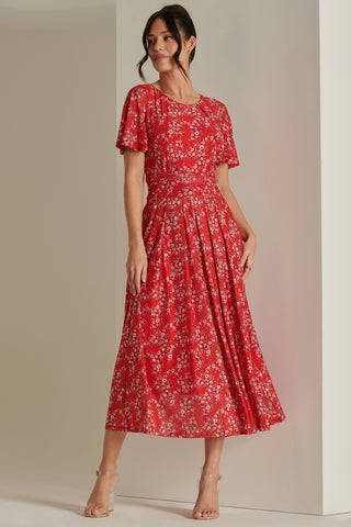 Rexina Maxi Mesh Dress, Red Floral