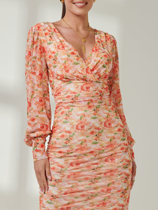 Long Sleeve Floral Mesh Dress, Orange Multi