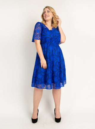Plus Size Flare Sleeve Belted Lace Dress, Royal Blue