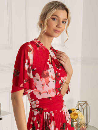 Danika Keyhole Neck Mesh Dress, Red Floral, Midi Dress, Floral Print, Short Angel Sleeves, Elasticated Waistband, Close Up Image